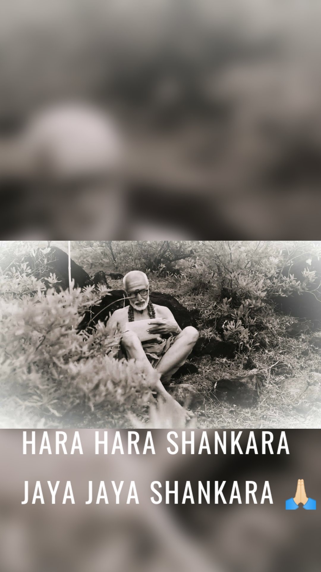Hara hara shankara 
Jaya jaya shankara 🙏🏻